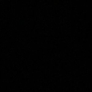 Meet your Posher, Maddy